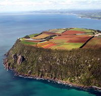 Table Cape - Gold Coast Attractions