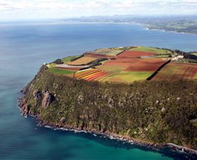 Table Cape - Gold Coast Attractions 0