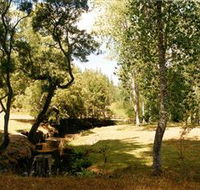 Oldina Picnic Area - Gold Coast Attractions