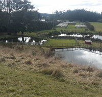 Guide Falls Farm - Gold Coast Attractions
