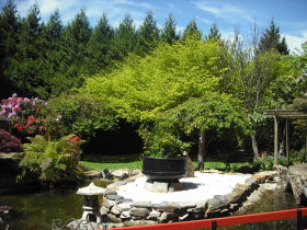 Annsleigh Gardens And Cafe - Gold Coast Attractions 0