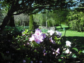 Annsleigh Gardens And Cafe - Gold Coast Attractions 3