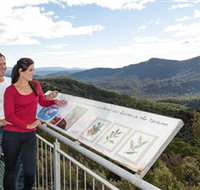 Whyte Hills Lookout - Gold Coast Attractions