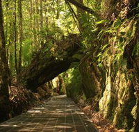 Philosopher Falls - Gold Coast Attractions