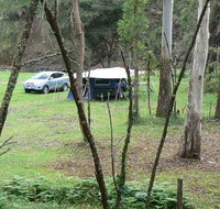 Goomburra Forest Retreat - Gold Coast Attractions