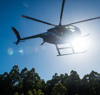 Tall Timbers Adventure Tours - Gold Coast Attractions