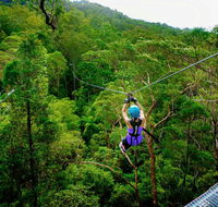 Canyon Flyer - Gold Coast Attractions