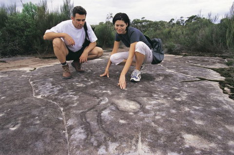 Sydney Coast Walks - Gold Coast Attractions 2