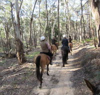 Silver Brumby Trails - Gold Coast Attractions