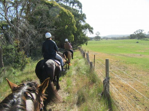 Silver Brumby Trails - Gold Coast Attractions 1