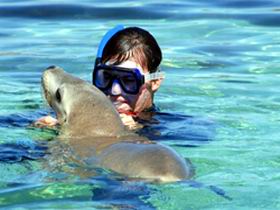 Gawler Ranges Wilderness Safaris - Gold Coast Attractions 2