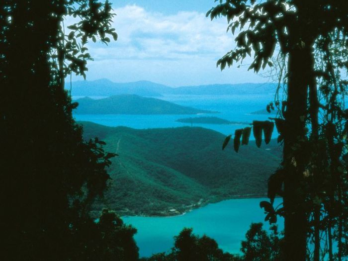 Cannonvale QLD Gold Coast Attractions