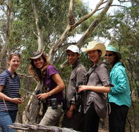 Echidna Walkabout Nature Tours - Gold Coast Attractions