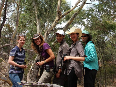 Echidna Walkabout Nature Tours - Gold Coast Attractions 2