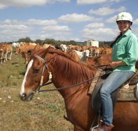 Myella Farm Stay Tours - Gold Coast Attractions