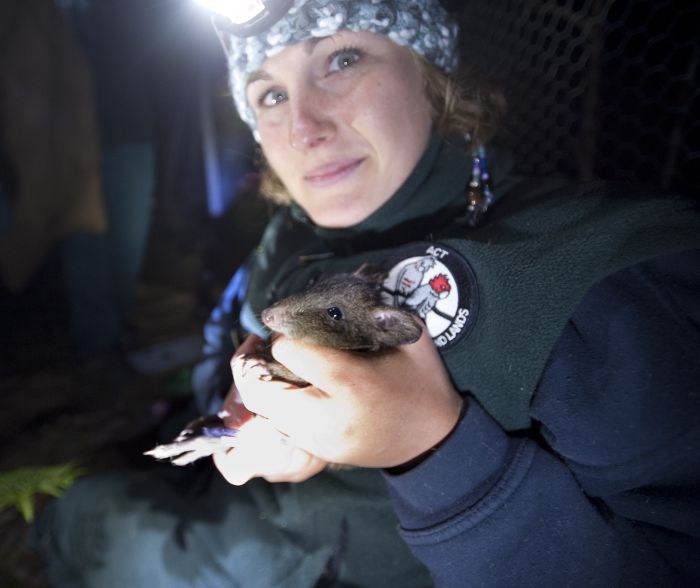  Gold Coast Attractions