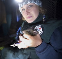 Naturewise at Tidbinbilla - Gold Coast Attractions