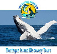 Lighthouse Charters Narooma - Gold Coast Attractions
