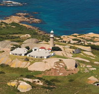 Naturewise Montague Island Nature Escape - Gold Coast Attractions