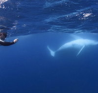 Sunreef Mooloolaba - Gold Coast Attractions