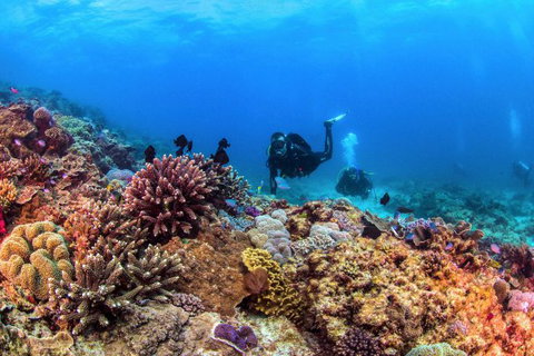 Sunreef Mooloolaba - Gold Coast Attractions 8