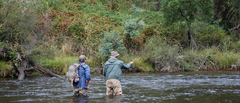 River Escapes - Gold Coast Attractions 1