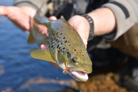 River Escapes - Gold Coast Attractions 2