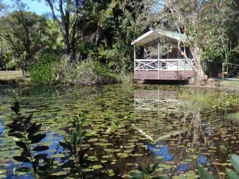 Darlington Beach NRMA Holiday Park - Gold Coast Attractions 5