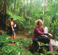 Ships Stern circuit - Gold Coast Attractions