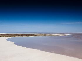 Goin' Off Safaris - Gold Coast Attractions 7