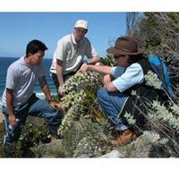 Sapphire Coast Ecotours - Gold Coast Attractions