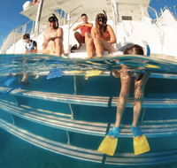 Australian Sunset Safaris - Gold Coast Attractions