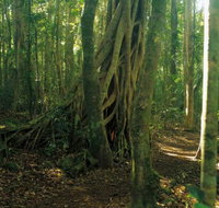 Tullawallal circuit - Gold Coast Attractions