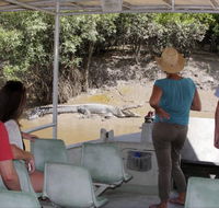 Whitsunday Crocodile Safari - Gold Coast Attractions