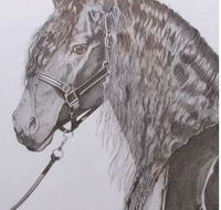 Great Lakes Art Society - Gold Coast Attractions