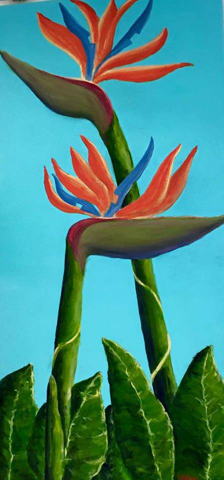 Toukley District Arts Society & Information Centre - Gold Coast Attractions 1