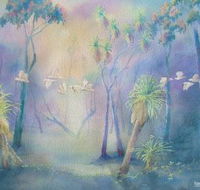 Territory Colours - Gold Coast Attractions