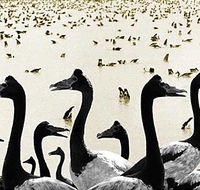 Tin Shed Art Gallery - Gold Coast Attractions