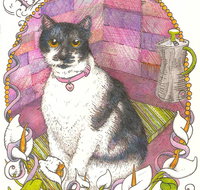 Art Hive Artist - Gold Coast Attractions