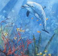 Nadas Fine Art Gallery - Gold Coast Attractions
