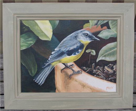 Frew Artworks - Gold Coast Attractions 2