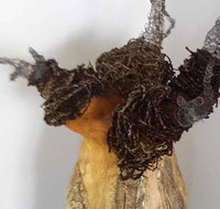 Caldera Wildscapes Gallery - Gold Coast Attractions