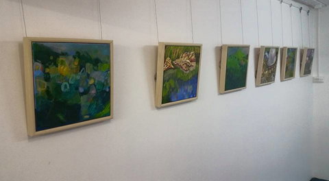 Art Arena Gallery Inc - Gold Coast Attractions 2