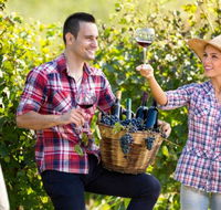 Two Tails Wines - Gold Coast Attractions