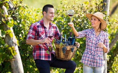 Two Tails Wines - Gold Coast Attractions 0