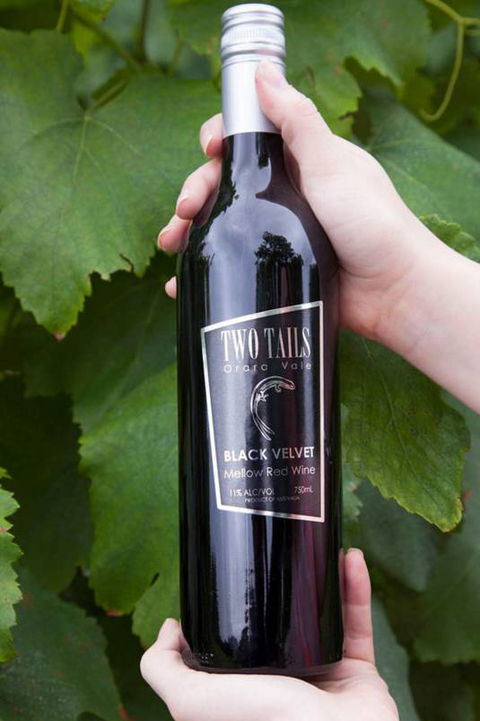 Two Tails Wines - Gold Coast Attractions 3