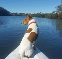 Australis Canoes  Kayaks - Gold Coast Attractions
