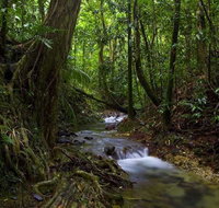 Trek North - Gold Coast Attractions