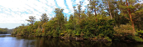 A R Reflections River Cruises - Gold Coast Attractions 0