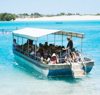 Willie Creek Pearl Farm - Gold Coast Attractions